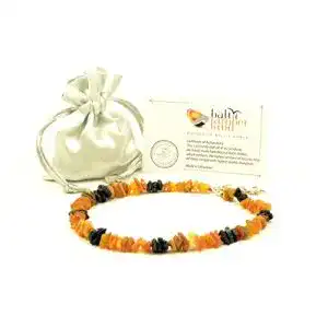 Bernstein halsband hund baltic amber land bernsteinkette hund