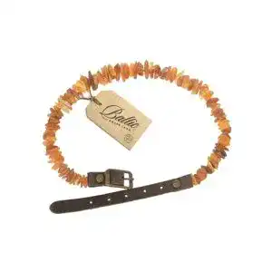Bernstein halsband hund baltic amber land haustierhalsband