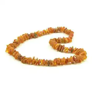 Bernstein halsband hund baltic amber land hundehalsband