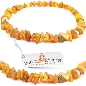 Bernstein halsband hund baltic secret bernsteinkette