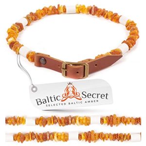 Bernstein-Halsband Hund Baltic Secret Bernsteinkette Hund