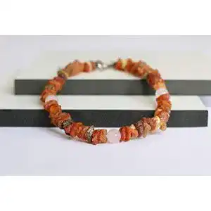 Bernstein halsband hund generic bernsteinkette fuer hunde 1