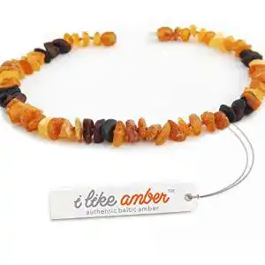 Bernstein halsband hund ilikeamber com bernsteinkette hund