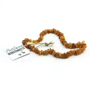 Bernstein halsband hund petlove bernsteinkette hund