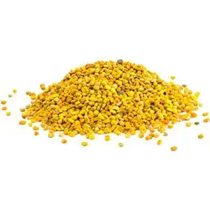 Bluetenpollen natural food bienenpollen 1 kg aus polen premium