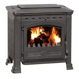Dauerbrandofen plamen eek a gusskaminofen tena mit 95kw