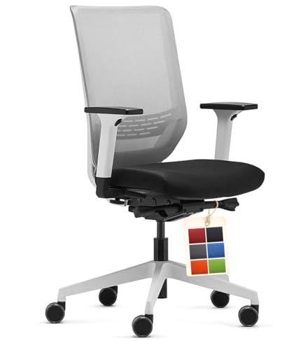 Dauphin-Bürostuhl Trendoffice to-sync pro, ergonomischer Bürostuhl