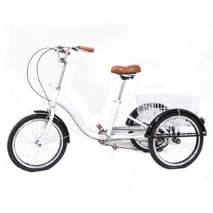 Dreirad für Erwachsene LENJKYYO 20 Zoll 3 Rad mit Single-Speed