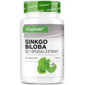Gedaechtnis tabletten vit4ever ginkgo biloba 6000 mg 365 tabl