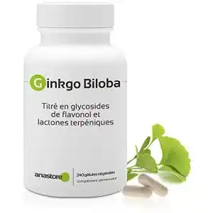 Ginkgo tabletten anastore ginkgo biloba 60 mg 240 kapseln