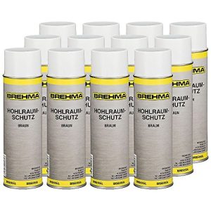 Hohlraumversiegelung BREHMA 12x Hohlraumschutz Spray 500ml