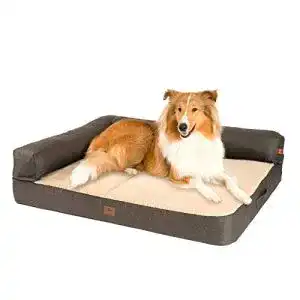 Hundesofa jamaxx pets jamaxx premium 2 in 1 sofa