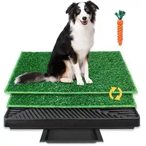 Hundetoilette brian dany hundeklo trainingsunterlage