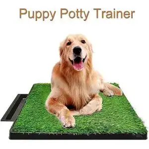 Hundetoilette coldshine welpentoilette wiederverwendbar training
