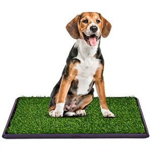 Hundetoilette COSTWAY Hundeklo mit Rasen