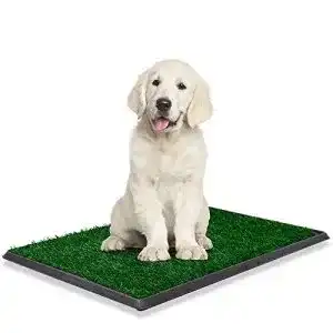 Hundetoilette dreamade hunde training rasenmatte hundeklo