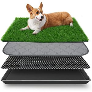 Hundetoilette Embellbatt Hunde Gras Pad mit Tablett