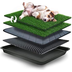 Hundetoilette GoldOuya 50*60CM Kunstrasen für Kleine Hunde Welpenklo