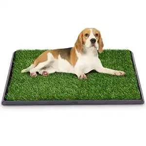 Hundetoilette goplus welpentoilette trainingsunterlage fuer hunde