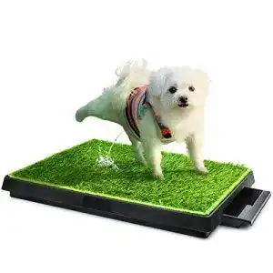 Hundetoilette hompet hundeklo welpentoilette trainingsunterlage