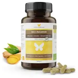 Ingwer kapseln fluegelschwinger 200 bio ingwer kapseln 600 mg