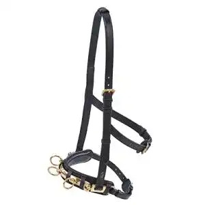 Kappzaum busse professional