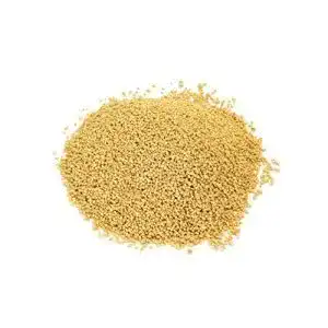 Lecithin granulat buxtrade 2 x 500 g soja lecithin granulat e322