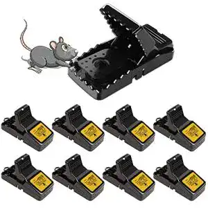 Mausefalle schlagfalle anlicae 8er set mausefalle