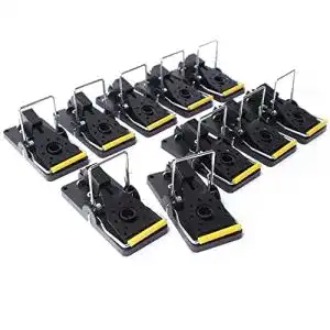 Mausefalle schlagfalle hinrichs mausefallen 10 stueck