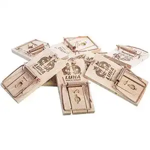 Mausefalle schlagfalle neustanlo 20er pack maeusefallen holz