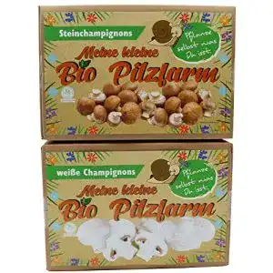 Pilzkultur pilzmaennchen bio champignon komplettset 1x