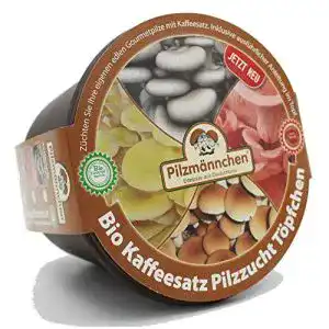 Pilzkultur pilzmaennchen bio rosenseitling kaffeesatz toepfchen