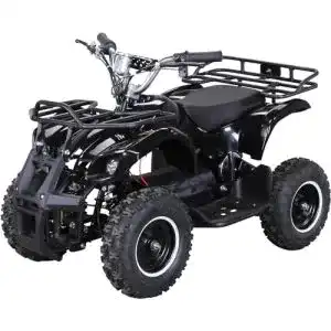 Quad actionbikes motors kinder elektro mini atv torino 1