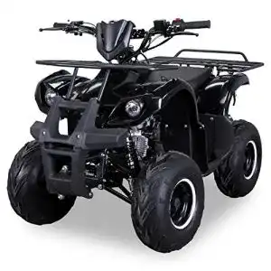 Quad actionbikes motors original kinder s 8 farmer 4 takt 125 cc