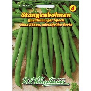 Stangenbohnen-Samen Chrestensen ‘Quedlinburger Speck’