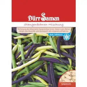 Stangenbohnen samen duerr samen bohnen duerr samen