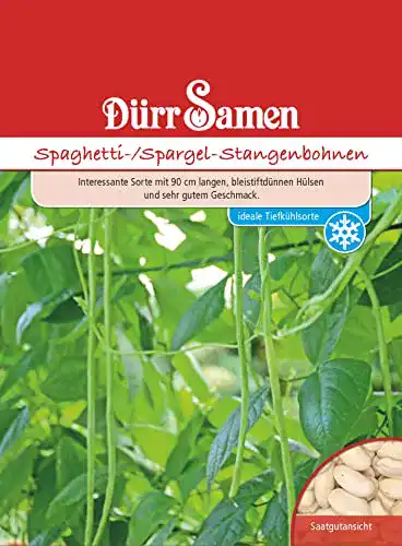 Stangenbohnen-Samen Spaghetti Stangenbohne Dürr-Samen