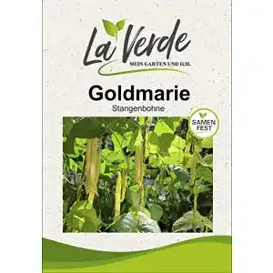 Stangenbohnen-Samen - stangenbohnen samen la verde mein garten und ich