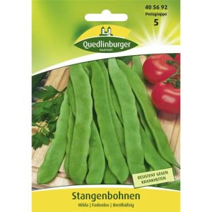 Stangenbohnen-Samen Quedlinburger Stangenbohne, Hilda - stangenbohnen samen quedlinburger stangenbohne hilda