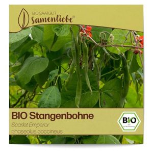 Stangenbohnen-Samen Samenliebe BIO Stangenbohnen Samen