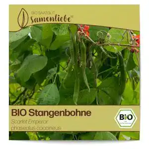 Stangenbohnen samen samenliebe bio stangenbohnen samen
