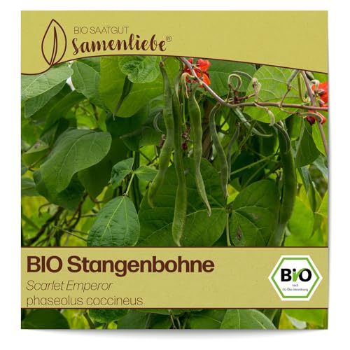 Stangenbohnen-Samen Samenliebe BIO Stangenbohnen Samen