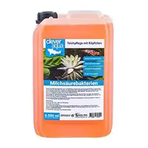 Teichbakterien clever aqua cleveraqua milchsaeurebakterien