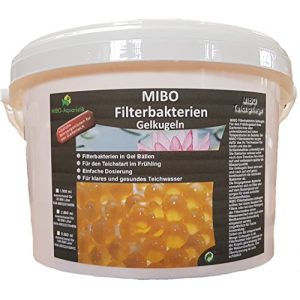 Teichbakterien MIBO-Aquaristik MIBO Filterbakterien Gelkugeln