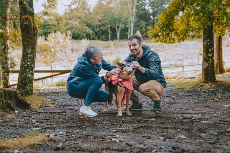 Schwimmweste für Hunde_2