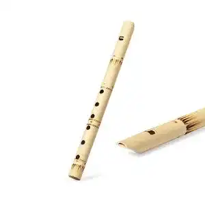 Bambusfloete begoon pipeau musikinstrument