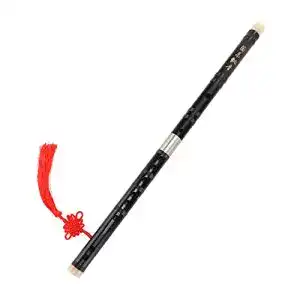 Bambusfloete shanrya rostfrei steckbar dizi bitter bamboo double