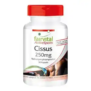 Cissus quadrangularis fairvital cissus kapseln 90 kapseln