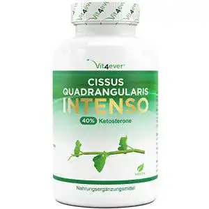 Cissus quadrangularis vit4ever 180 kapseln mit 720 mg extrakt