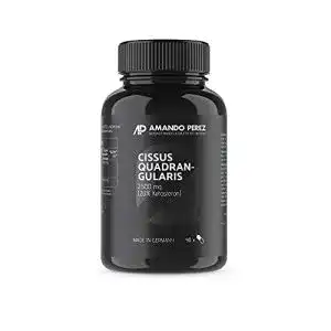 Cissus quadrangularis vitabay extrakt 2500 mg 90 vegane kapseln